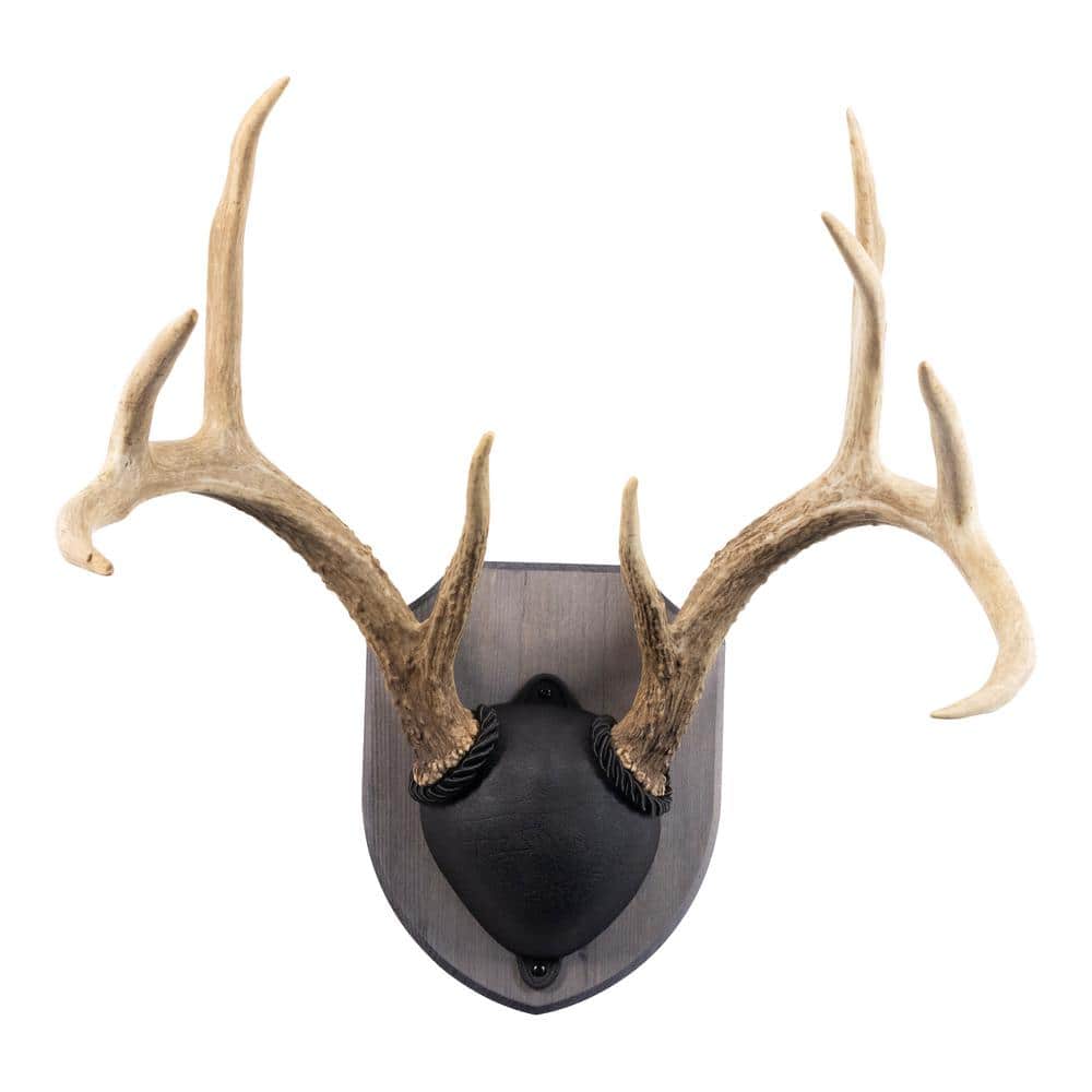 Walnut Hollow Rustic Pine Antler Mount Kit