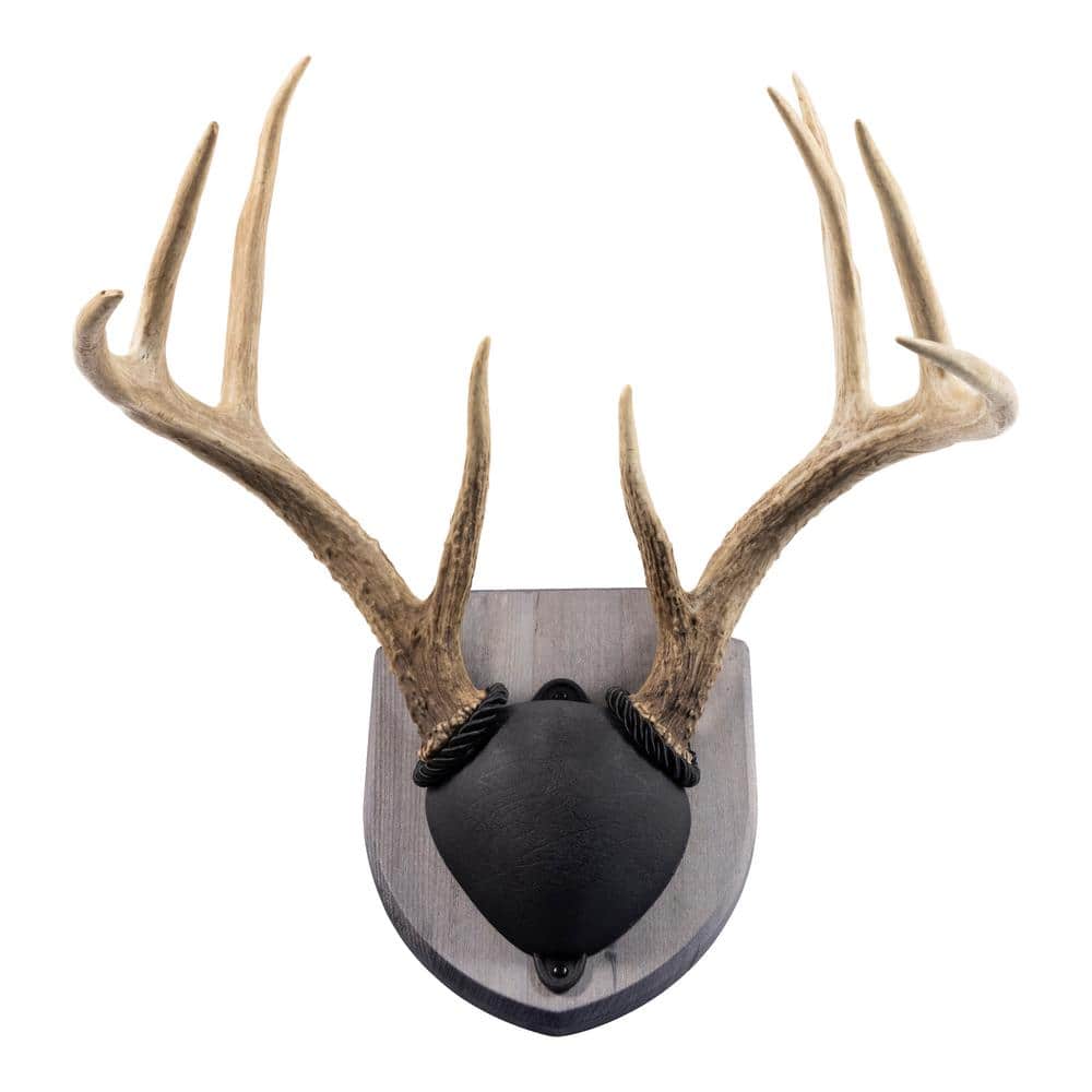Walnut Hollow Rustic Pine Antler Mount Kit