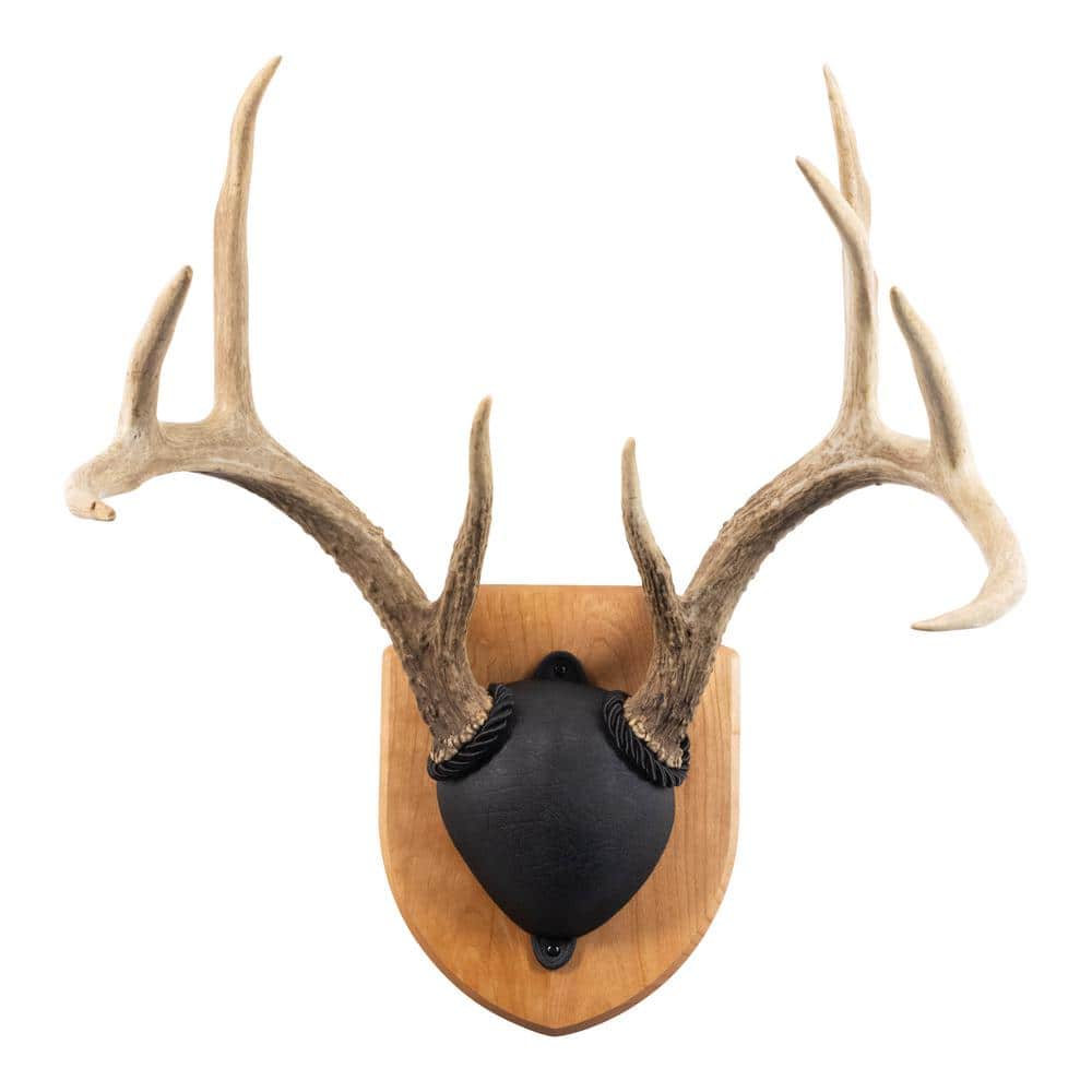 Walnut Hollow Solid Cherry Antler Mount Kit