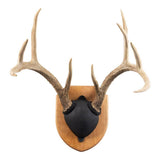 Walnut Hollow Solid Cherry Antler Mount Kit