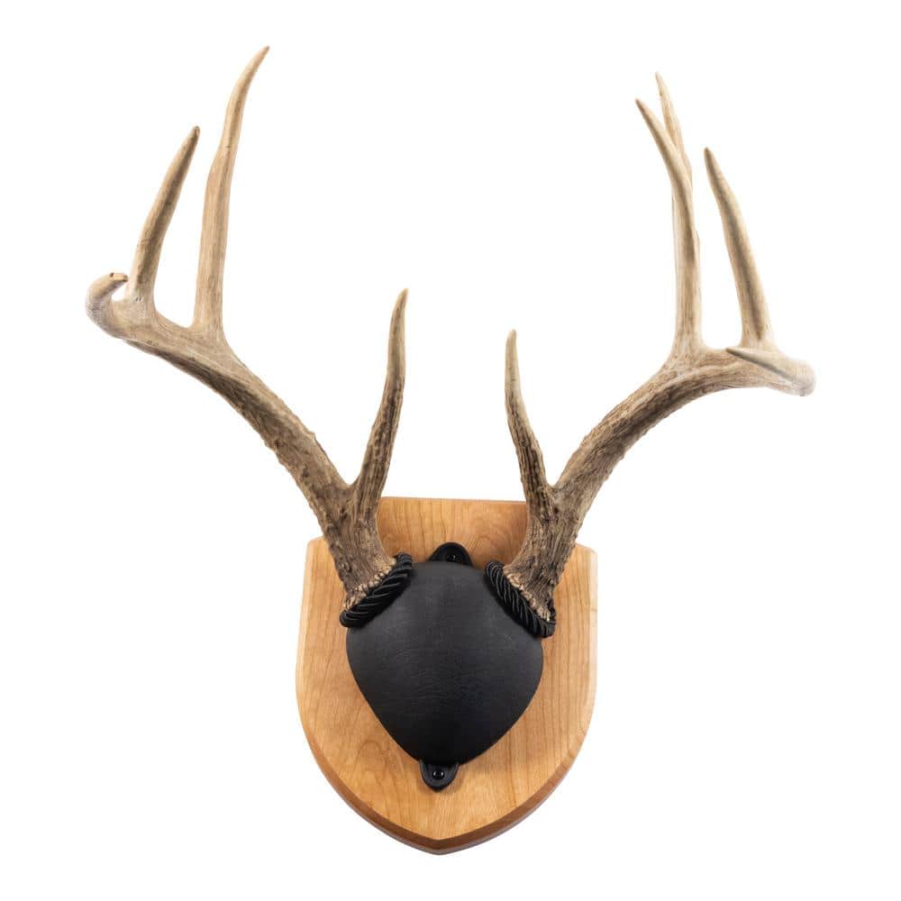 Walnut Hollow Solid Cherry Antler Mount Kit