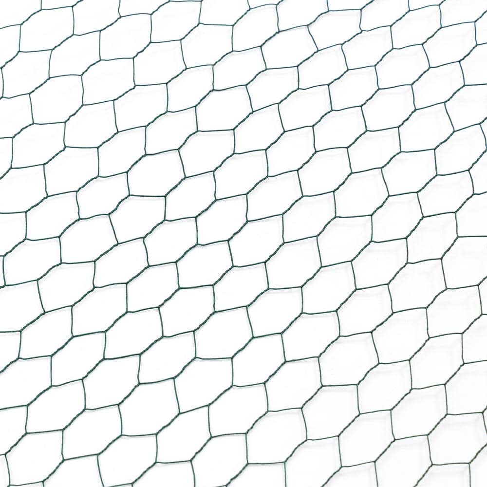 3.6 ft. x 196.85 ft. Galvanized Hexagonal Floral Green Welded  Wire, Outdoor Anti-Rust Chicken Wire Poultry Netting