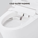 Abruzzo Elongated Smart Bidet Toilet with Sensor Flush & Night Light