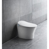 Castellousa New York Simple Plus Elongated Bidet Toilet with Adjustable Sprayer & Soft-Close