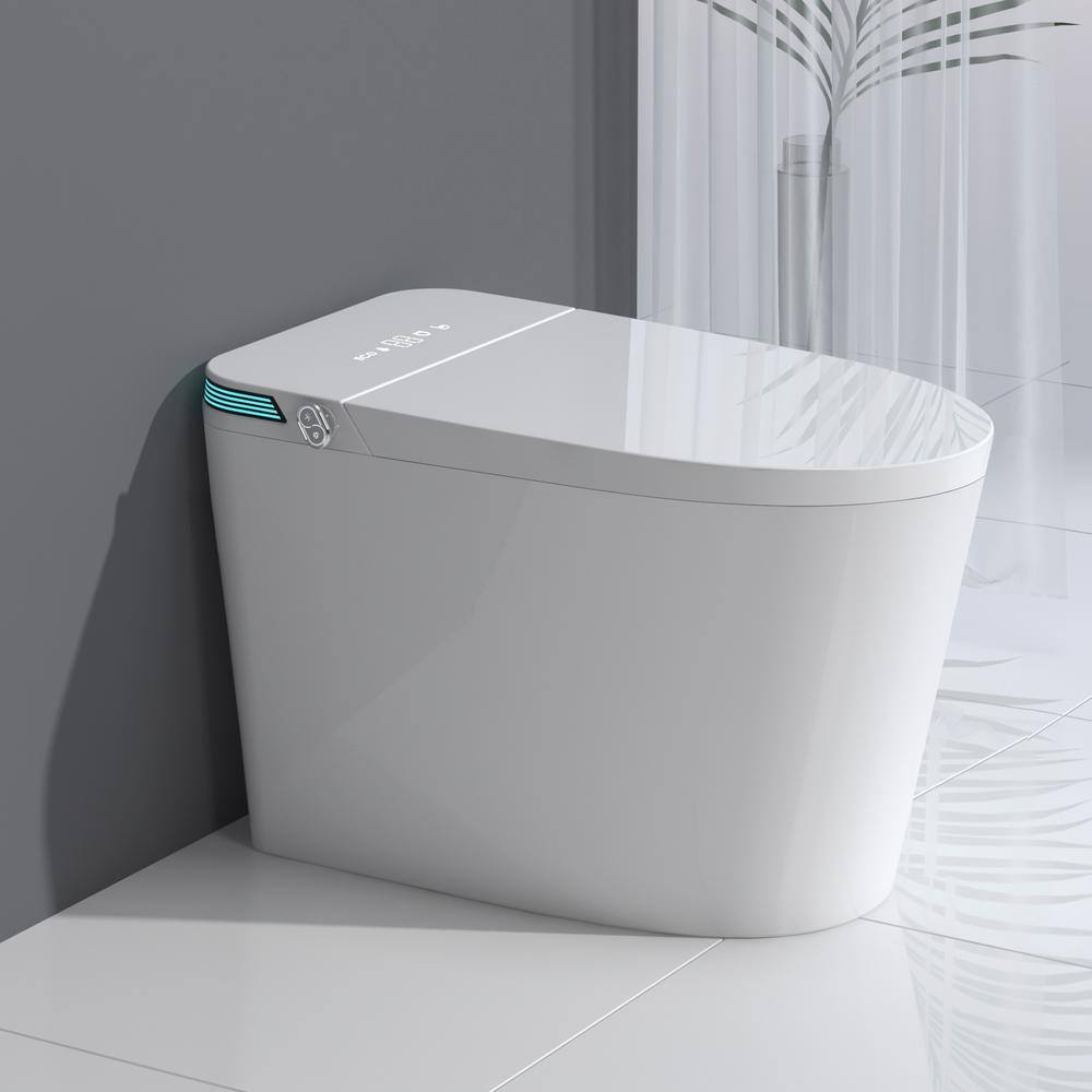Boosicavelly Elongated Bidet Toilet with Heated Seat & LED Display