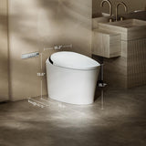 CANEST Elongated Smart Bidet Toilet Single Flush 1.08/1.45 GPF with Heated Seat and Remote