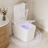 CASAINC Electric Smart Bidet Toilet with Auto Flushing and Antibacterial Seat