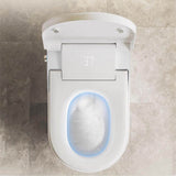 CATALINA 1.28GPF Smart Bidet Toilet with Heated Seat and LED Display