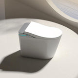 CATALINA 1.28GPF Smart Bidet Toilet with Heated Seat and LED Display