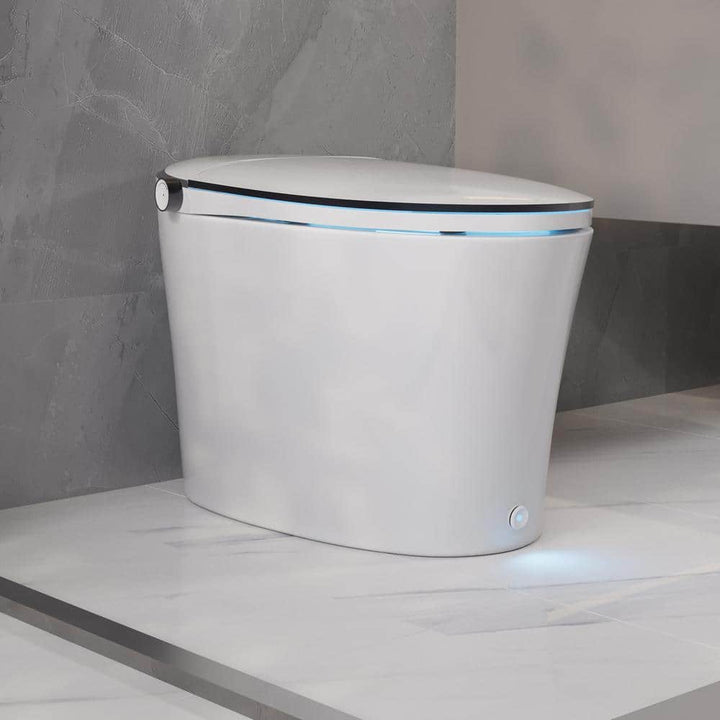 DEERVALLEY 1.28 GPF Smart 1-Piece Toilet with Heated Seat & Auto Flush