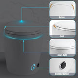 HOMEMYSTIQUE Intelligent Bidet Toilet with Auto Flush, Heated Seat, White