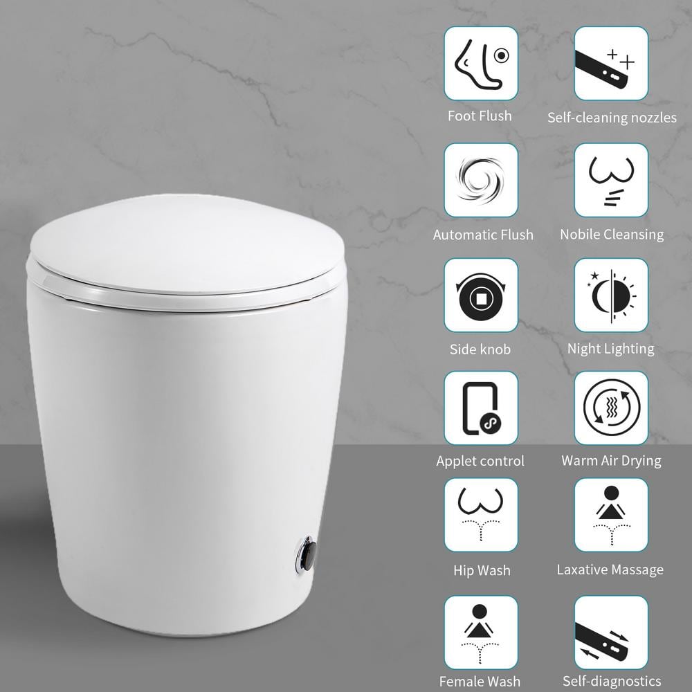 HOMEMYSTIQUE Intelligent Bidet Toilet with Auto Flush, Heated Seat, White