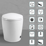 HOMEMYSTIQUE Intelligent Bidet Toilet with Auto Flush, Heated Seat, White