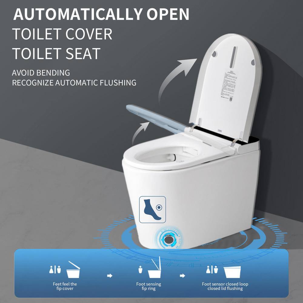 HOMEMYSTIQUE Intelligent Toilet Bidet with Auto Flush & Heated Seat