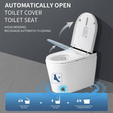 HOMEMYSTIQUE Intelligent Toilet Bidet with Auto Flush & Heated Seat