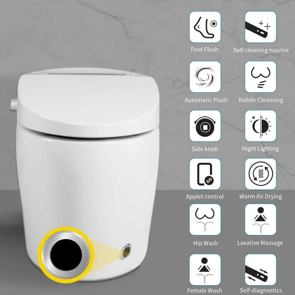 HOMEMYSTIQUE Height Intelligent Toilet Bidet with Auto Flush and Heated Seat