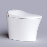 HOROW Smart Toilet Bidet with Remote Control and Deodorization