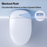 HOROW Smart Toilet Bidet with Remote Control and Deodorization