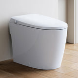 HOROW T30 Non-Electric Elongated Bidet Toilet - 1.0 GPF, ADA Chair Height, Foot Kick Flush, White