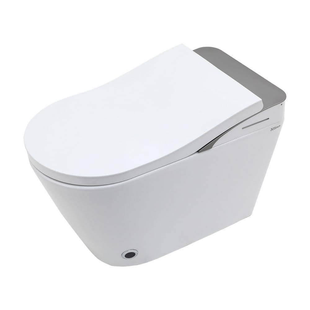 LORDEAR Luxury Elongated Smart LED Bidet Toilet with Automatic Flush and Dryer