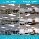 LUXRITE 1 ft. x 4 ft. Center Basket LED Troffer Panel Light 2000/2500/3750 Lumens 3500K/4000K/5000K Dimmable Damp Rated (2-Pack)
