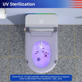 RAINLEX Elongated Bidet Toilet 1.28 GPF in White with Heated Soft Close