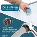 TEHILA 23.5 in. x 22.88 in. White Wall Mounted Utility Sink with Chrome Pull-out Sprayer