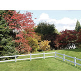 Veranda 5 in. x 5 in. x 5 ft. Vinyl White Ranch 2-Rail Corner Fence Post