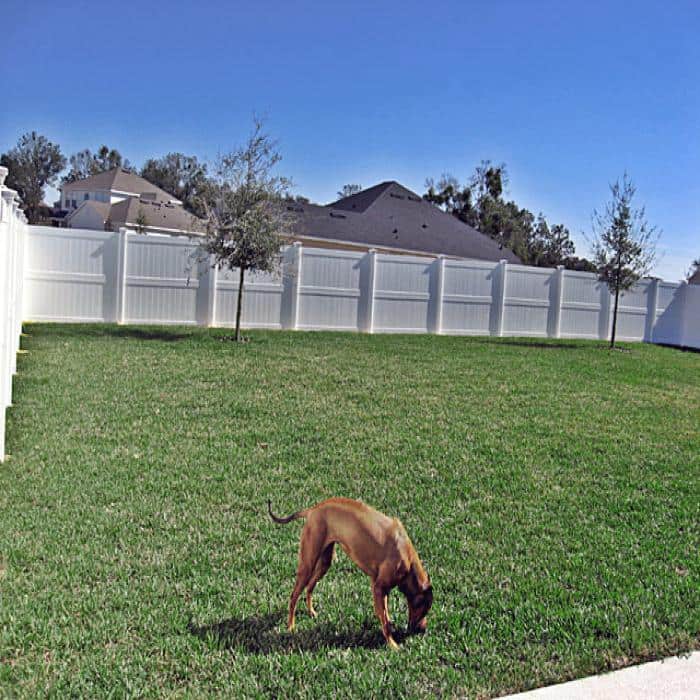 Weatherables Augusta 8 ft. x 8 ft. White Vinyl Privacy Fence Panel Kit
