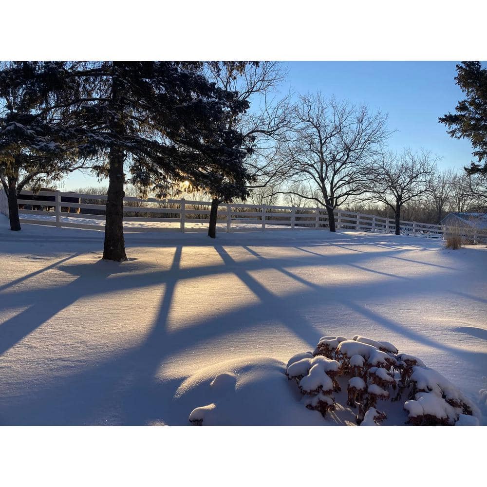 Weatherables 60 in. H x 320 ft. L 4-Rail White Vinyl Complete Ranch Rail Fence Project Pack