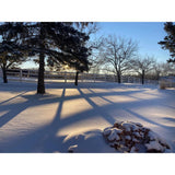 Weatherables 60 in. H x 320 ft. L 4-Rail White Vinyl Complete Ranch Rail Fence Project Pack