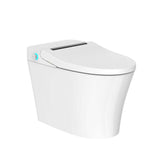 WELLFOR Elongated Dual Flush Smart Bidet Toilet with Heated Seat – White