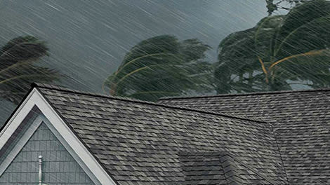 Owens Corning TruDefinition Oakridge 32.8-sq ft Onyx Black Laminated Architectural Roof Shingles