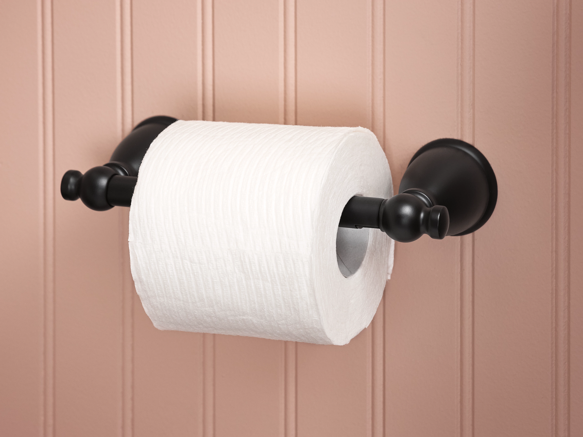 Moen Caldwell Brushed Nickel Wall Mount Pivot Toilet Paper Holder