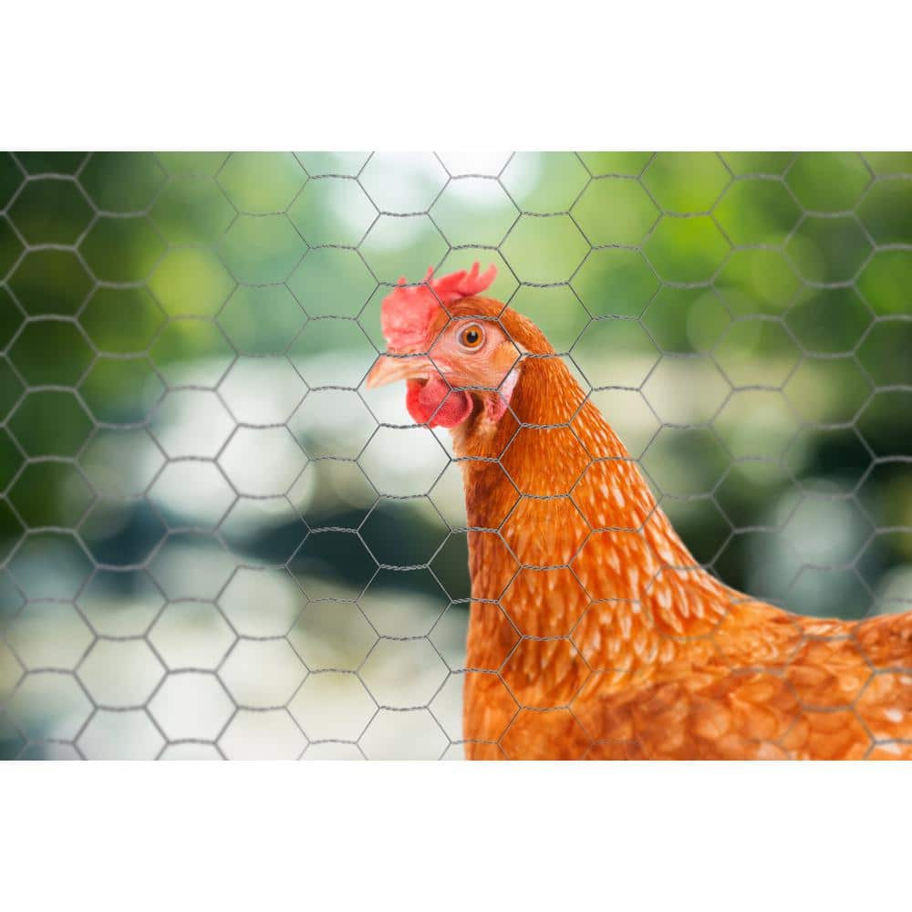 YARDGARD 6 ft. x 150 ft. 20 GA Poultry Netting-Galvanized Steel 2 in. Mesh 308498B