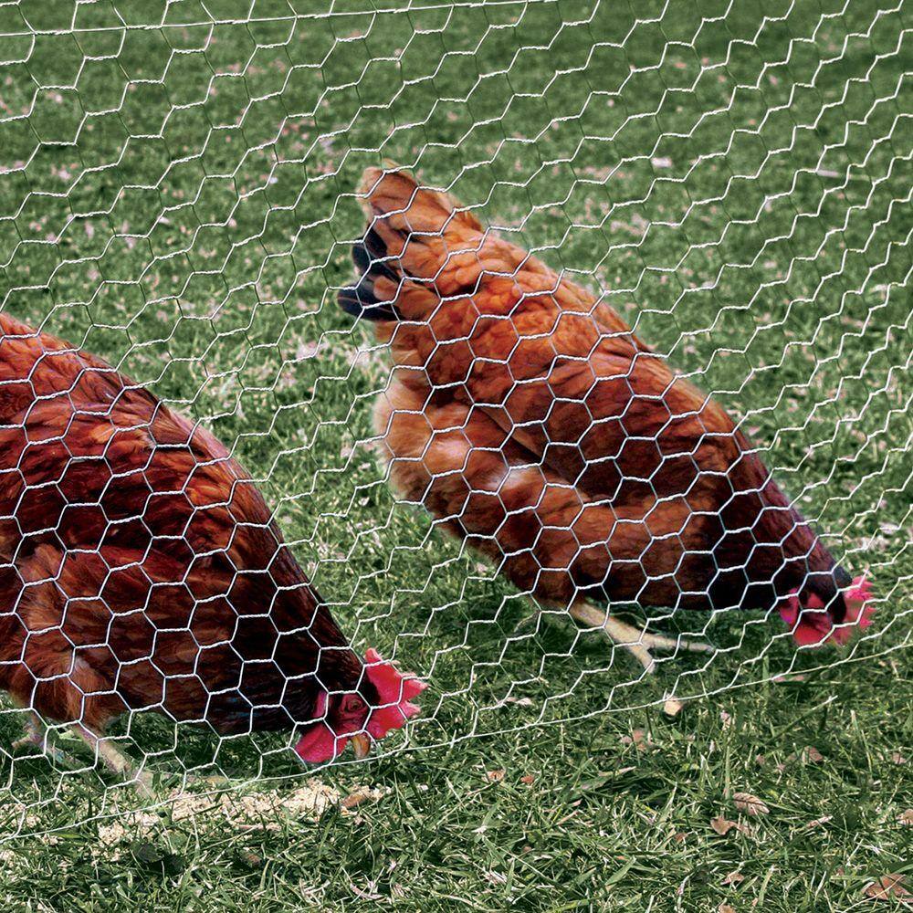 YARDGARD 4 ft. x 150 ft. Poultry Netting 1 in. Mesh