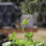 YARDGARD 2 in. Mesh x 2 ft. x 25 ft. 20-Gauge Galvanized Poultry Netting