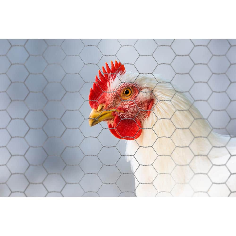YARDGARD 2 in. Mesh x 3 ft. x 25 ft. 20-Gauge Galvanized Poultry Netting