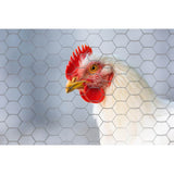 YARDGARD 2 in. Mesh x 3 ft. x 25 ft. 20-Gauge Galvanized Poultry Netting