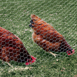 YARDGARD 2 in. x 3 ft. x 50 ft. 20-Gauge Poultry Netting