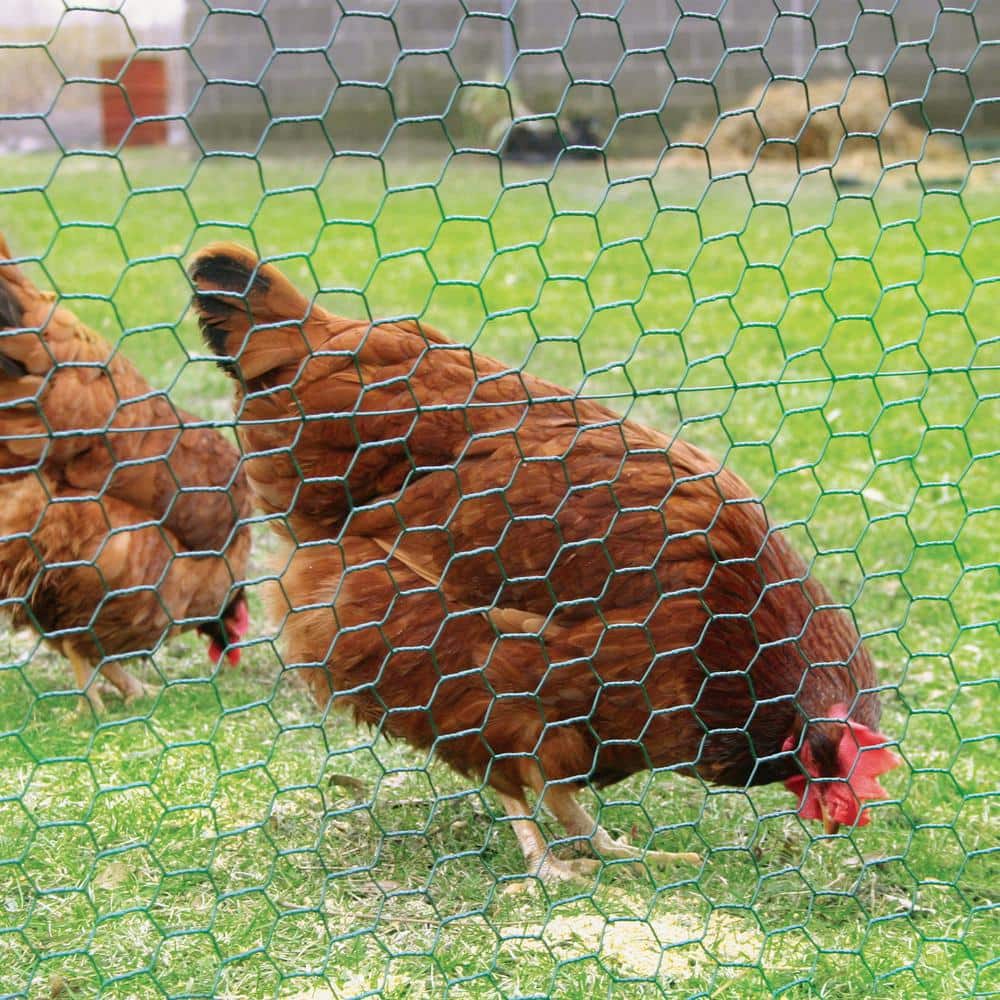 YARDGARD 2 in. x 3 ft. x 50 ft. 20-Gauge Poultry Netting