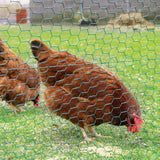 YARDGARD 2 in. x 3 ft. x 50 ft. 20-Gauge Poultry Netting