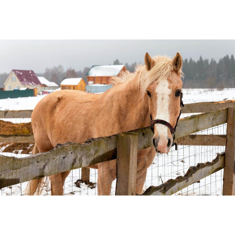 YARDGARD 5 ft. x 50 ft. 12.5-Gauge Galvanized Zinc Coated Welded Wire Fence
